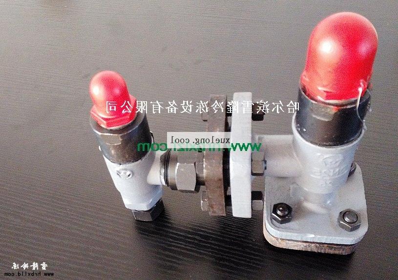 Tongren City ammonia fluorine refrigeration safety valve model selection description